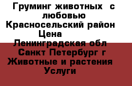 Груминг животных  с любовью Красносельский район › Цена ­ 700 - Ленинградская обл., Санкт-Петербург г. Животные и растения » Услуги   